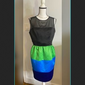 Peter Jensen for Topshop Women's size 10